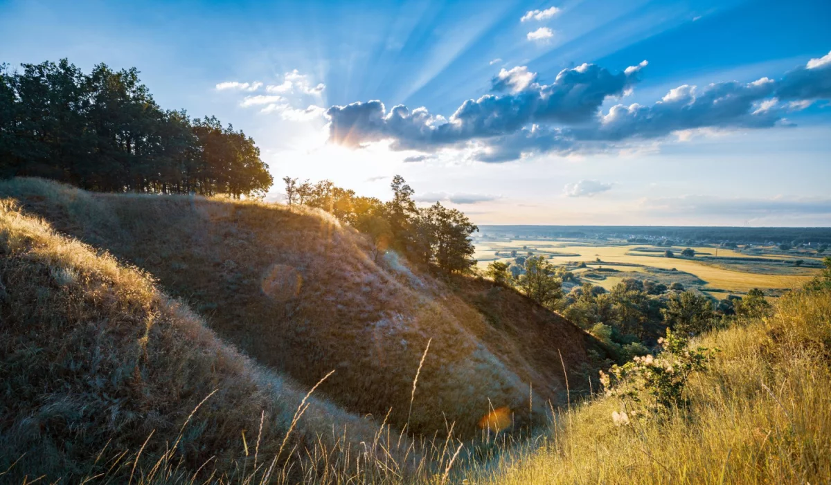 Papier, druk, naklejki- słowem poligrafia