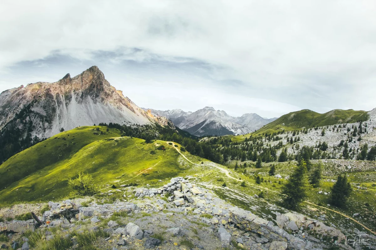 zlecić usługi geodezyjne szybciej?