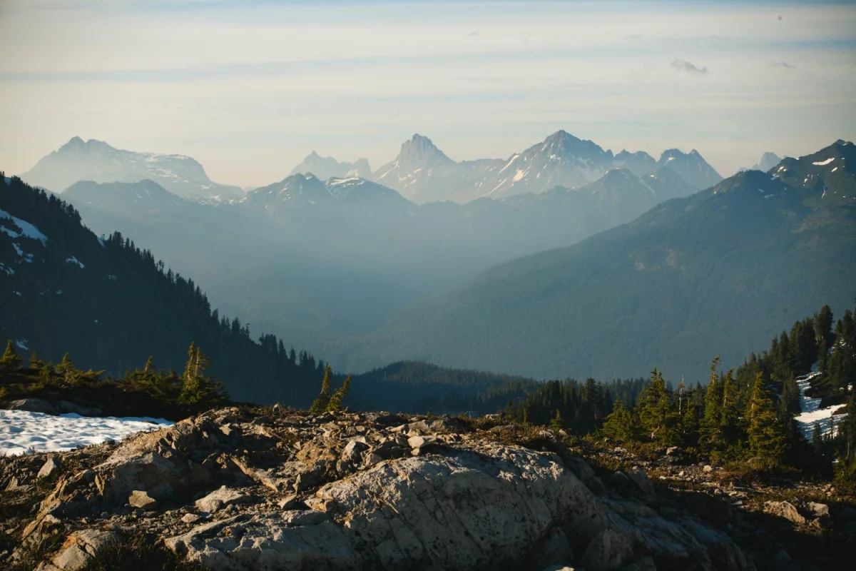 W jakim celu kupić gry?