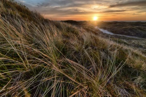 Wizyta u dentysty - kilka porad